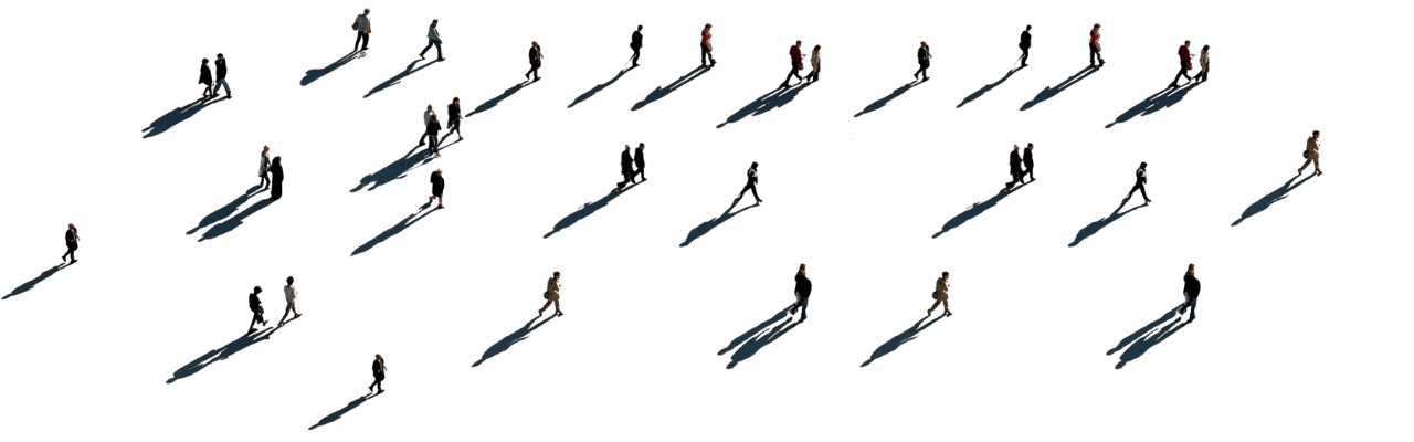 Community of dropshipping members